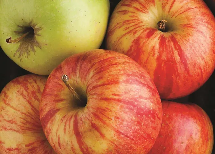 Duluth HotelsLa Quinta By Wyndham